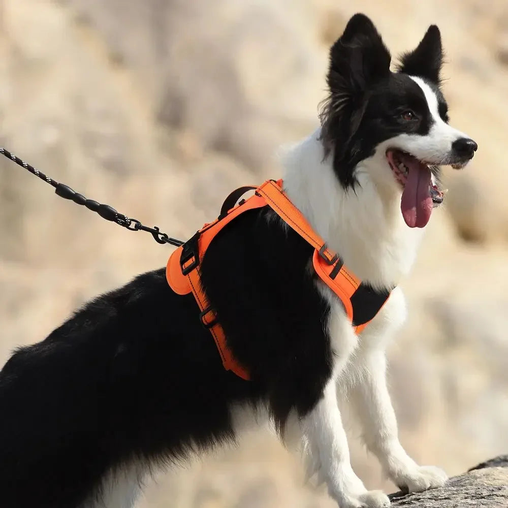 PawFolio Tactical Reflective Dog Chest Harness Vest