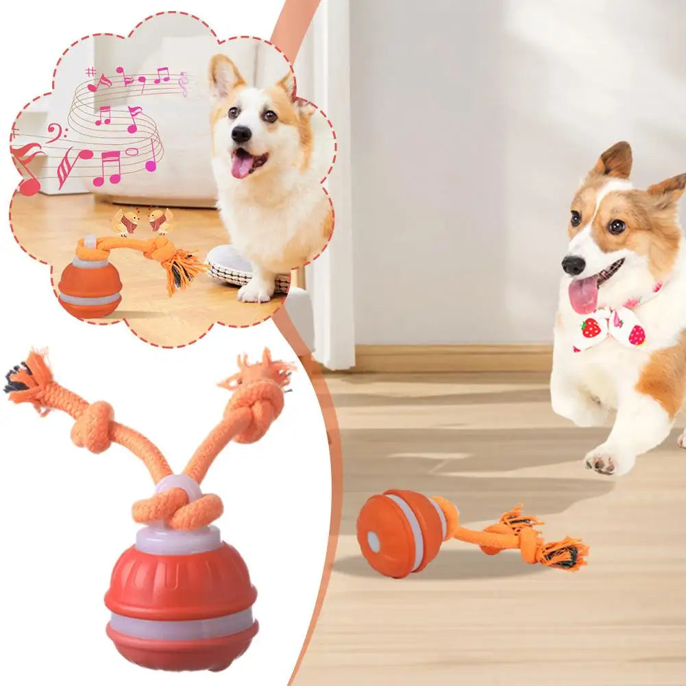 PawFolio Interactive Motion Activated Rolling Ball Toy for Dogs PawFolio