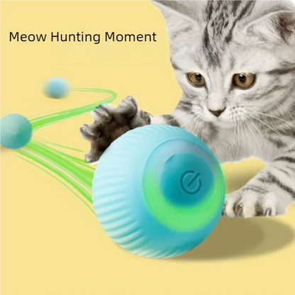 PawFolio Automatic Rolling Interactive Cat Toy Ball