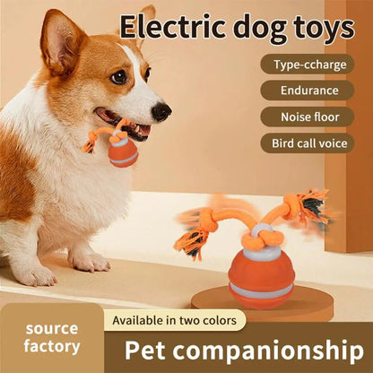 PawFolio Interactive Motion Activated Rolling Ball Toy for Dogs PawFolio