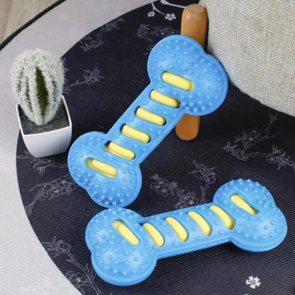 PawFolio Durable Rubber Chew Bone Toy for Dogs PawFolio