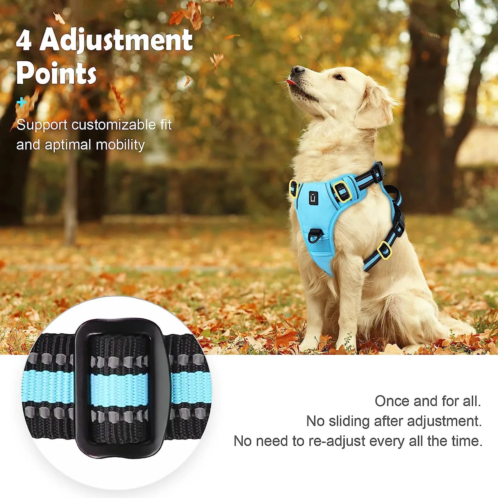 PawFolio No Pull Adjustable Dog Harness with Control Handle PawFolio