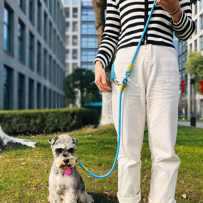 PawFolio Hands Free Reflective Nylon Dog Leash PawFolio
