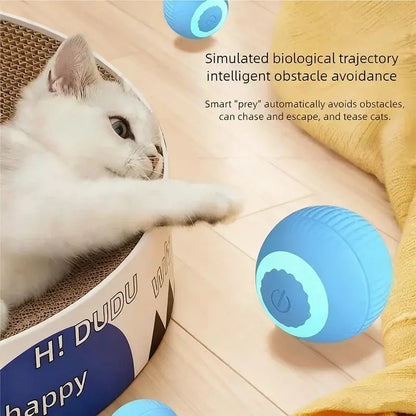PawFolio Automatic Rolling Interactive Cat Toy Ball PawFolio