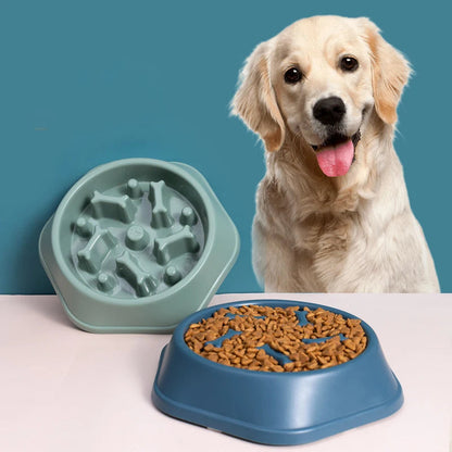PawFolio Slow Feeding Anti Choking Bowl for Dogs