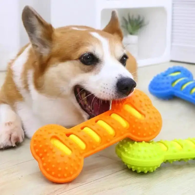 PawFolio Durable Rubber Chew Bone Toy for Dogs PawFolio