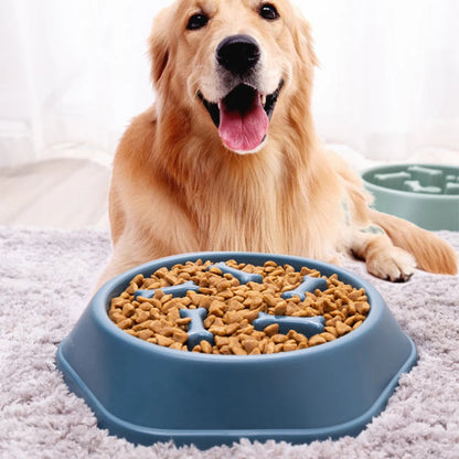PawFolio Slow Feeding Anti Choking Bowl for Dogs