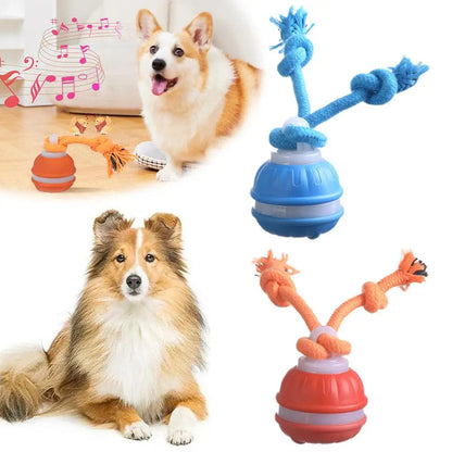 PawFolio Interactive Motion Activated Rolling Ball Toy for Dogs PawFolio