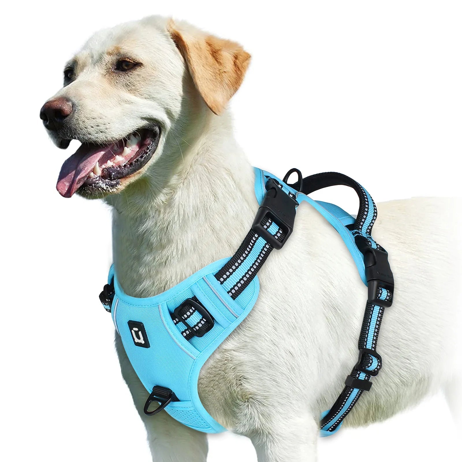 PawFolio No Pull Adjustable Dog Harness with Control Handle PawFolio