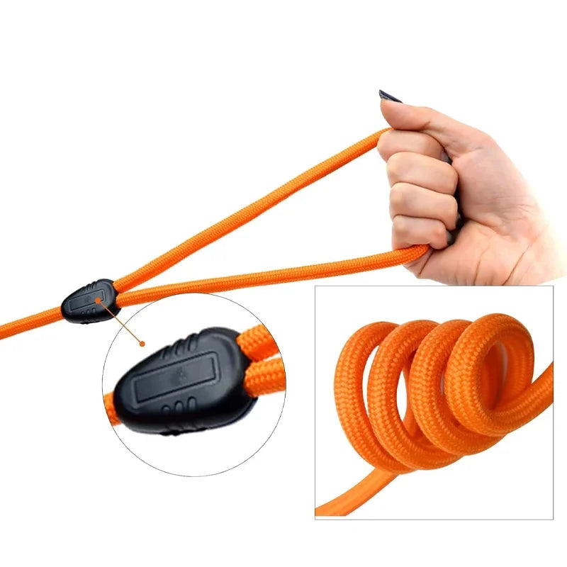 PawFolio Long Line Training Dog Leash for Recall and Agility