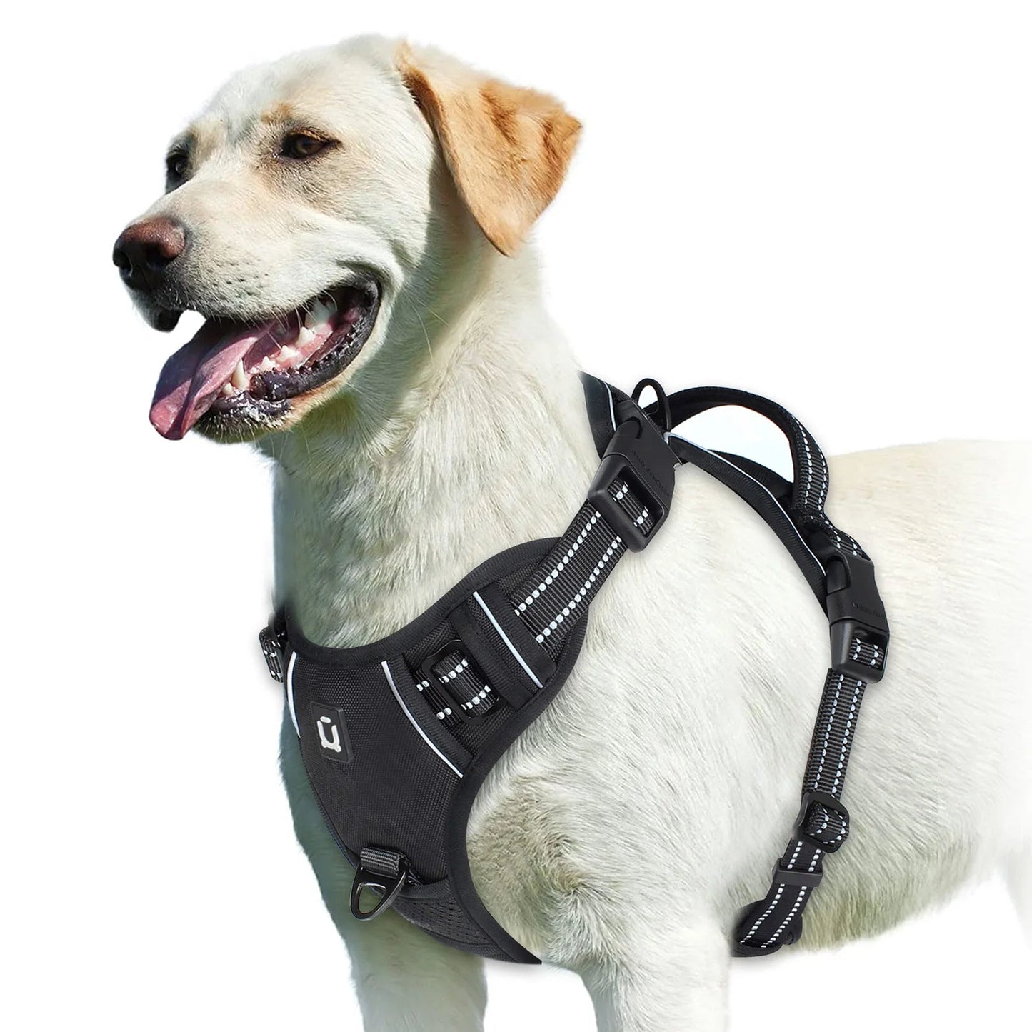 PawFolio No Pull Adjustable Dog Harness with Control Handle PawFolio
