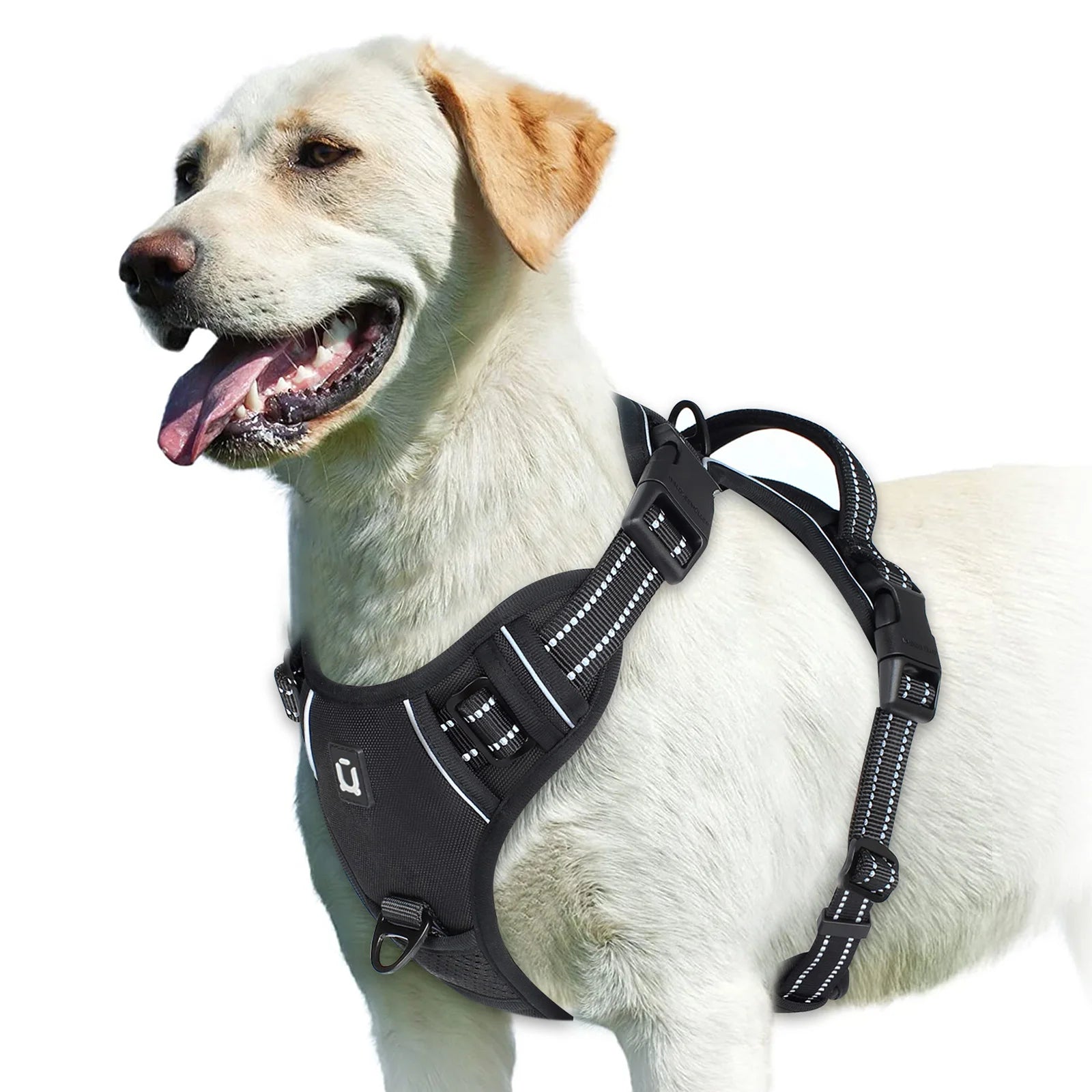 PawFolio No Pull Adjustable Dog Harness with Control Handle PawFolio
