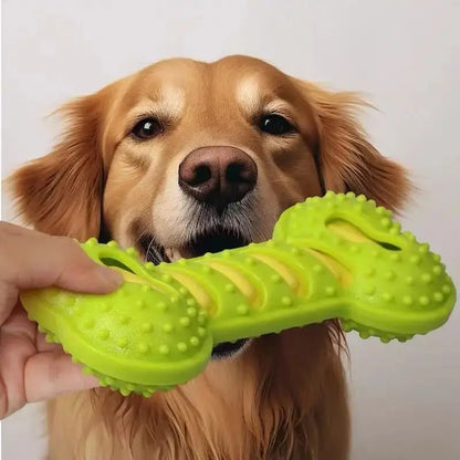 PawFolio Durable Rubber Chew Bone Toy for Dogs PawFolio