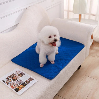 PawFolio Reusable Waterproof Dog Training and Pee Pad Mat