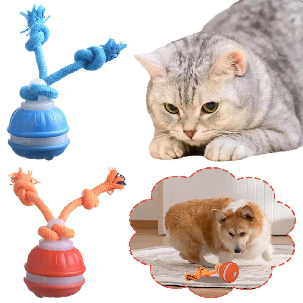 PawFolio Interactive Motion Activated Rolling Ball Toy for Dogs PawFolio