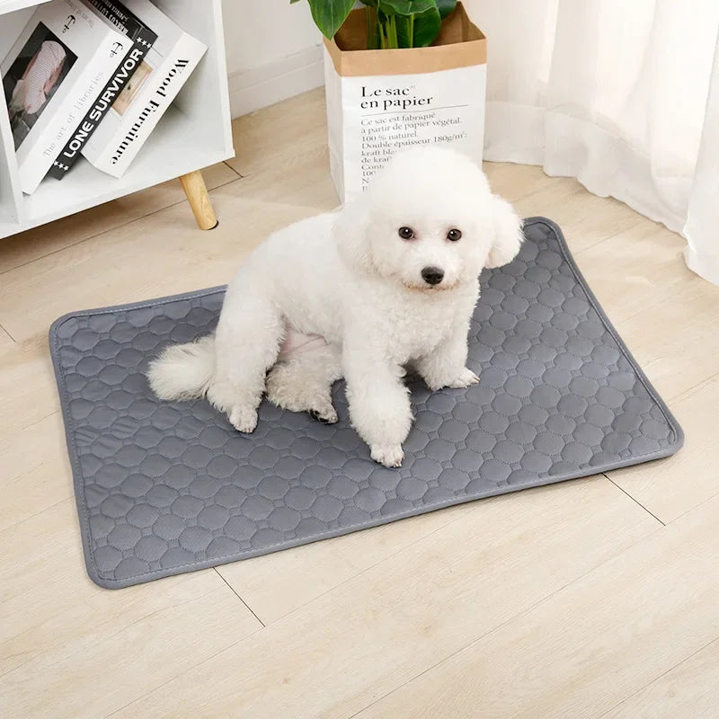 PawFolio Reusable Waterproof Dog Training and Pee Pad Mat