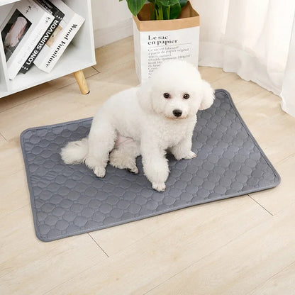 PawFolio Reusable Waterproof Dog Training and Pee Pad Mat