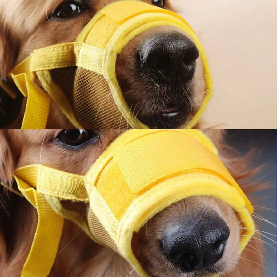 PawFolio Adjustable Breathable Anti Bite Dog Muzzle