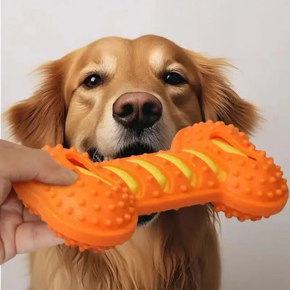 PawFolio Durable Rubber Chew Bone Toy for Dogs PawFolio