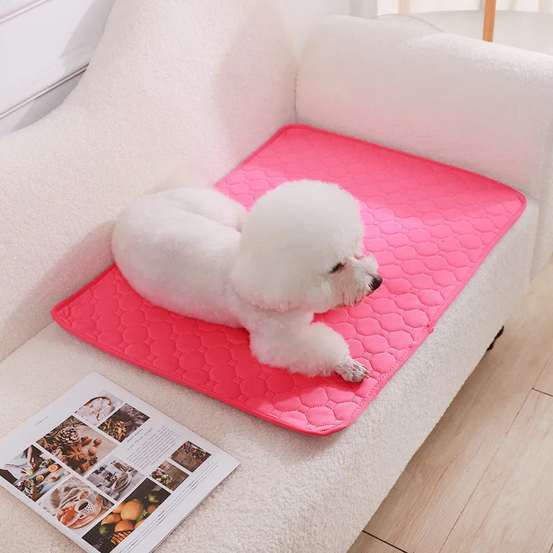 PawFolio Reusable Waterproof Dog Training and Pee Pad Mat