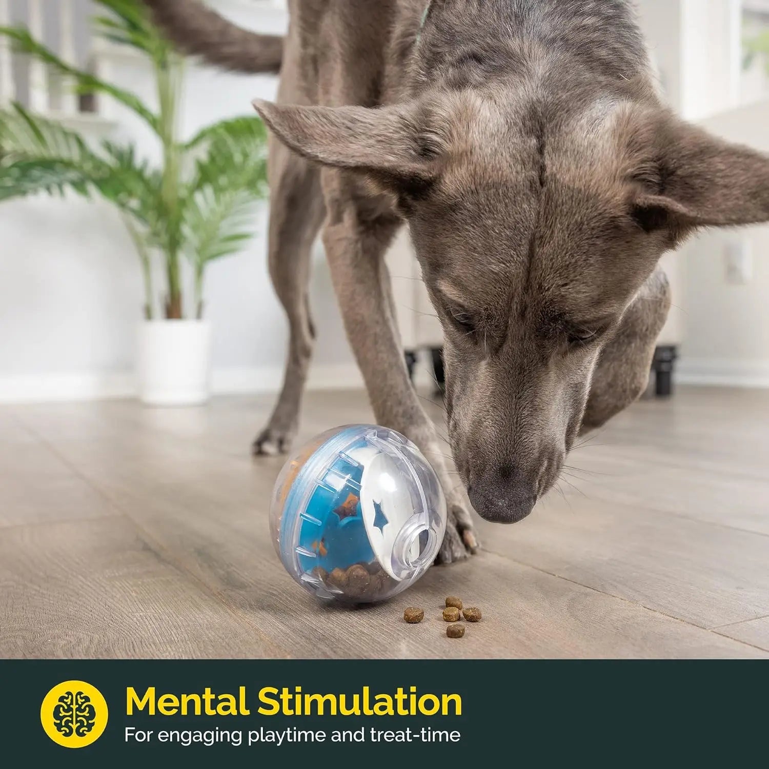 PawFolio Interactive Treat Dispenser Ball for Dogs PawFolio
