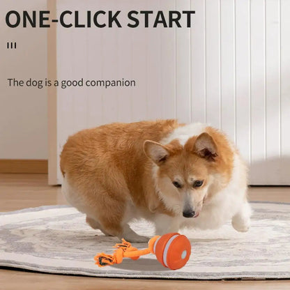 PawFolio Interactive Motion Activated Rolling Ball Toy for Dogs PawFolio