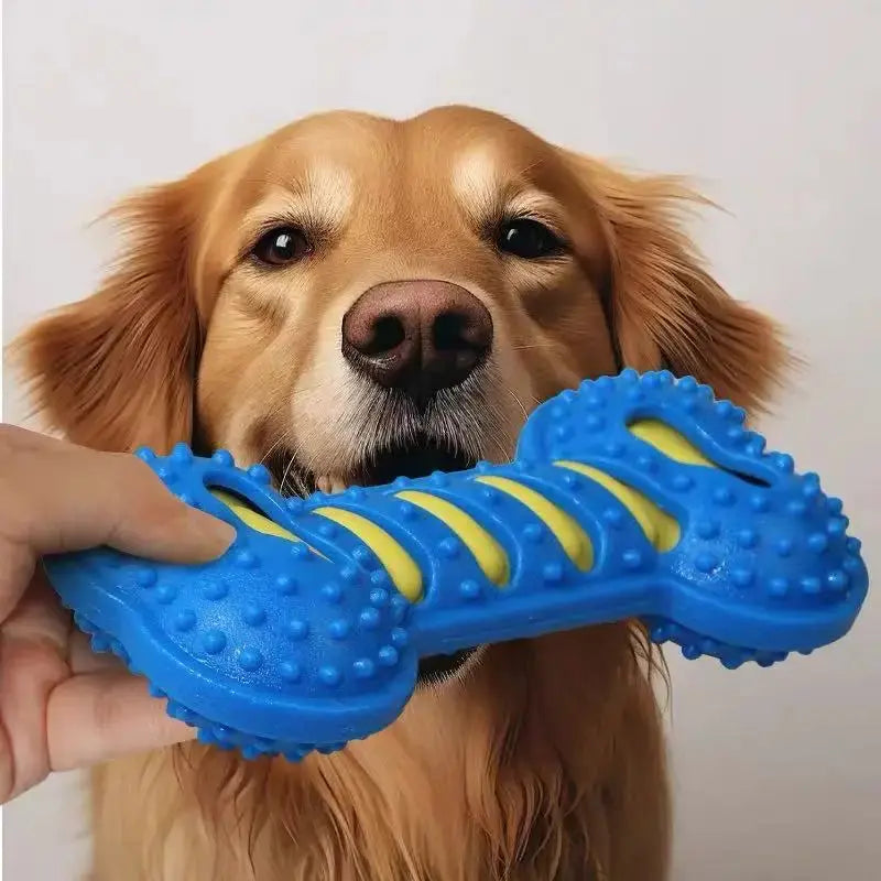 PawFolio Durable Rubber Chew Bone Toy for Dogs PawFolio