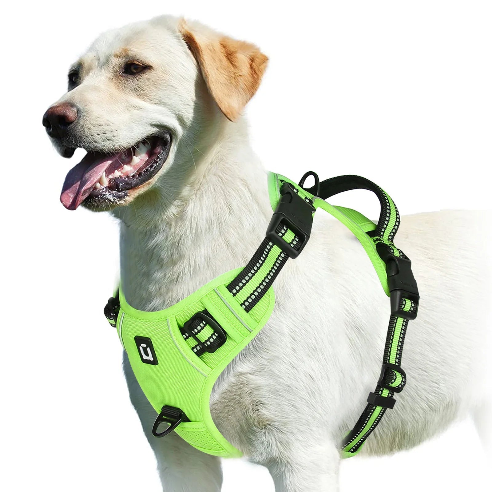 PawFolio No Pull Adjustable Dog Harness with Control Handle PawFolio