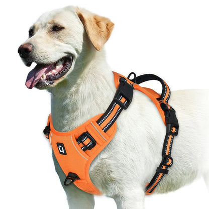PawFolio No Pull Adjustable Dog Harness with Control Handle PawFolio