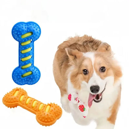 PawFolio Durable Rubber Chew Bone Toy for Dogs PawFolio