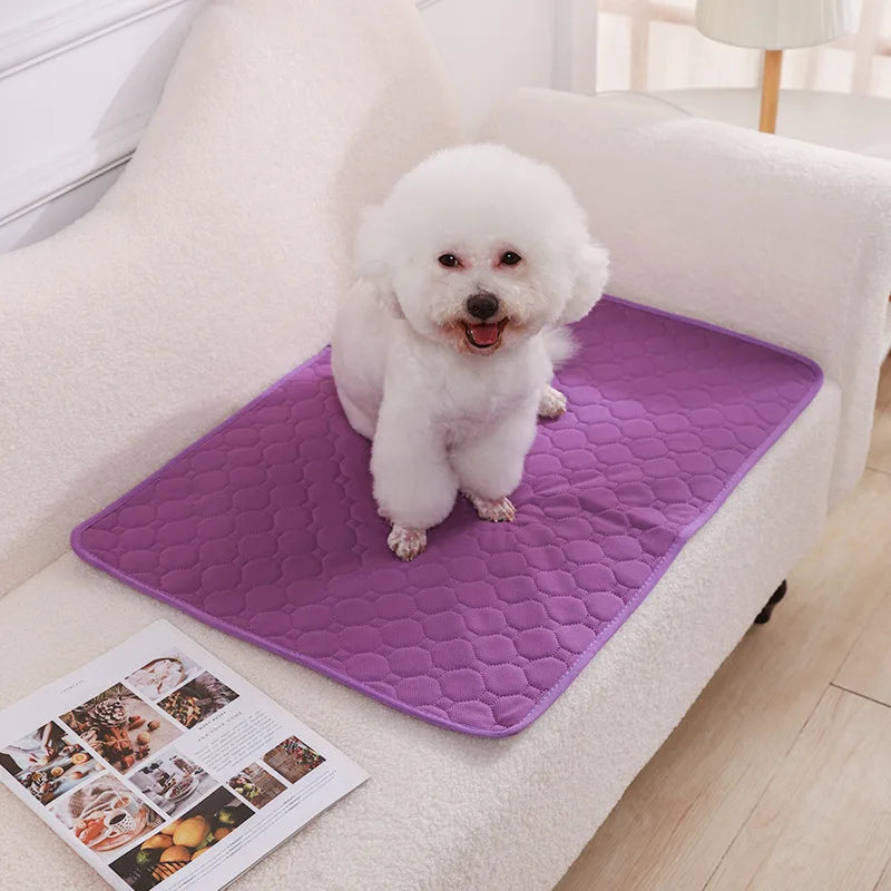 PawFolio Reusable Waterproof Dog Training and Pee Pad Mat