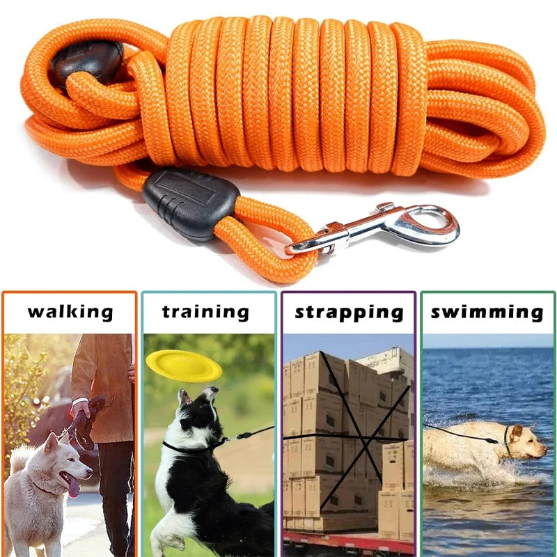 PawFolio Long Line Training Dog Leash for Recall and Agility