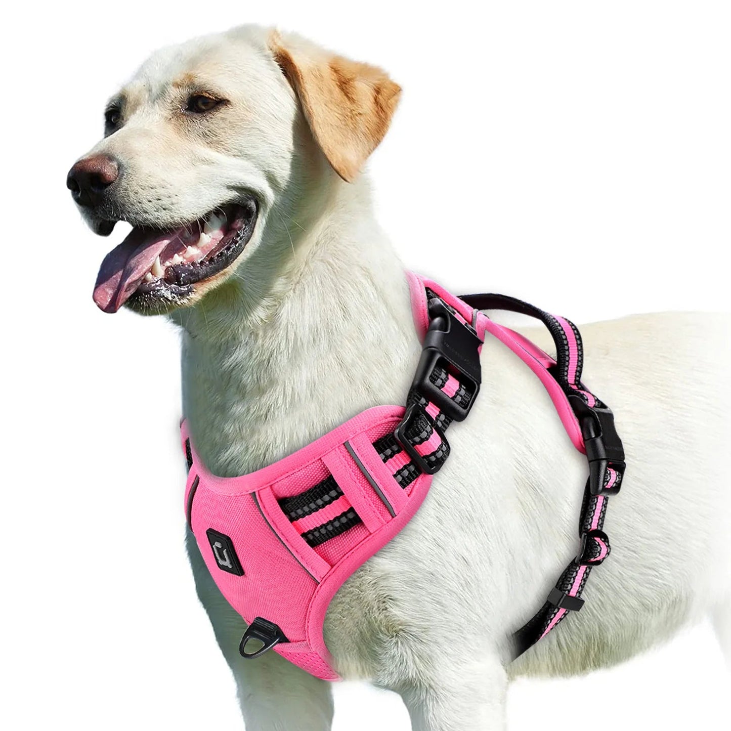 PawFolio No Pull Adjustable Dog Harness with Control Handle PawFolio