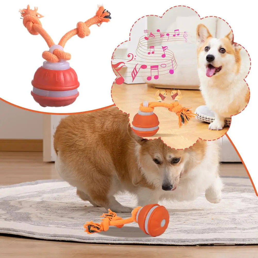 PawFolio Interactive Motion Activated Rolling Ball Toy for Dogs PawFolio