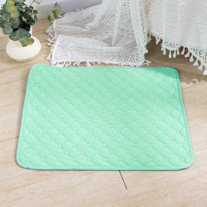 PawFolio Reusable Waterproof Dog Training and Pee Pad Mat