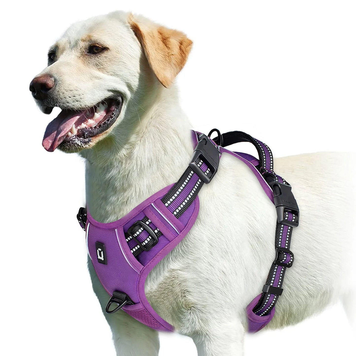 PawFolio No Pull Adjustable Dog Harness with Control Handle PawFolio